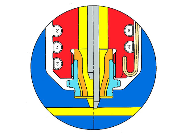 31